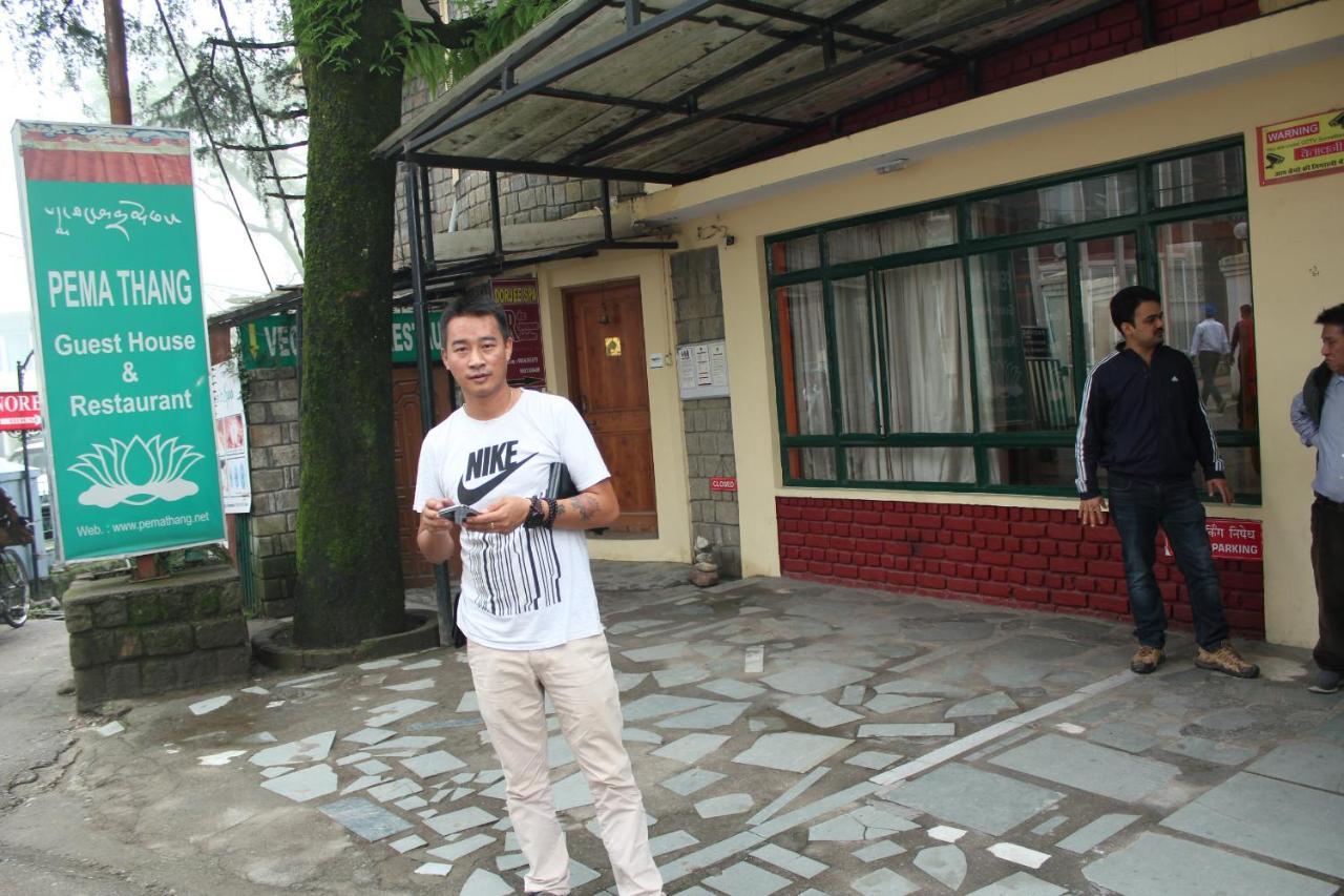 Pema Thang Hotel Kangra Zewnętrze zdjęcie