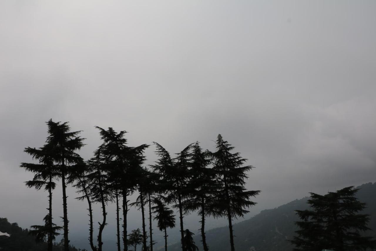Pema Thang Hotel Kangra Zewnętrze zdjęcie