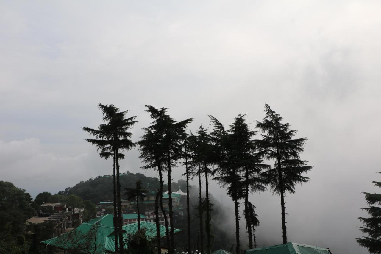 Pema Thang Hotel Kangra Zewnętrze zdjęcie